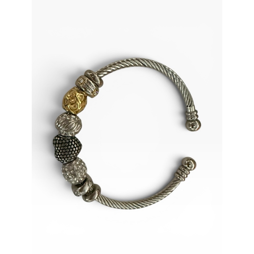 HSN Emma Skye Jewelry Designs 06-Charm Stainless Steel Bracelet